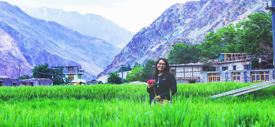 Green Fields Of Turtuk Village, Leh Ladakh