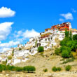 Kashmir Ladakh Package