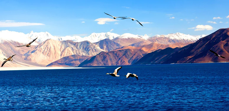 Ladakh Ultimate package