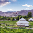 6 Days TUTC Glamping in Ladakh 1