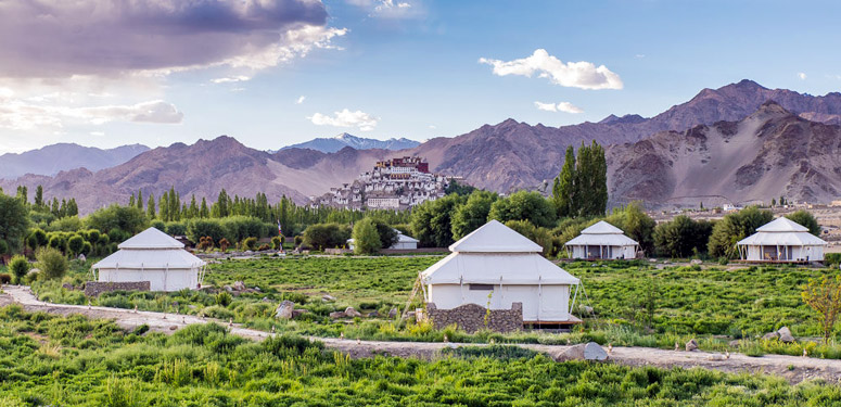 6 Days TUTC Glamping in Ladakh 1