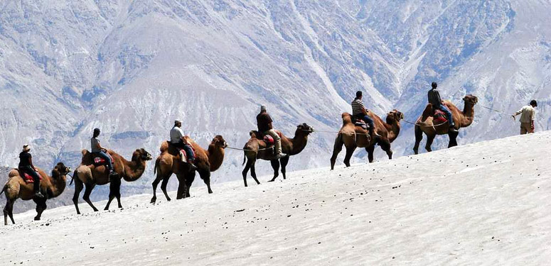 Leh package with Sham Valley