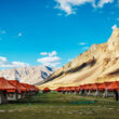 Majestic Ladakh with Pangong Lake Tour Package