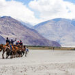 Nubra Valley & Pangong Lake Trip