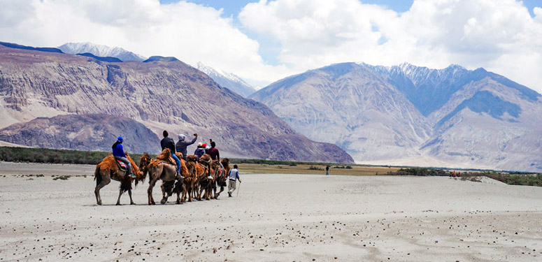 Nubra Valley & Pangong Lake Trip