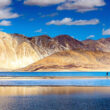 Nubra Valley & Pangong Lake Package