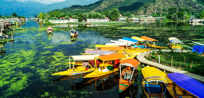 srinagar leh ladakh packages