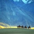 Trans-Himalayan Jeep Safari