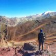 Wildlife Tour in Ladakh