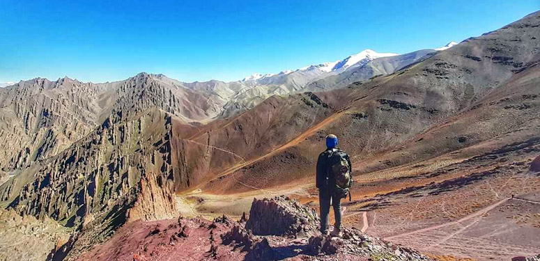 Wildlife Tour in Ladakh