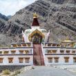 Wildlife Tour in Ladakh