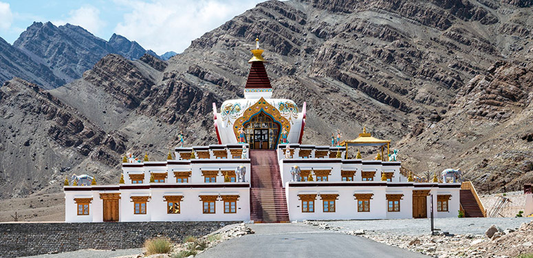 Wildlife Tour in Ladakh