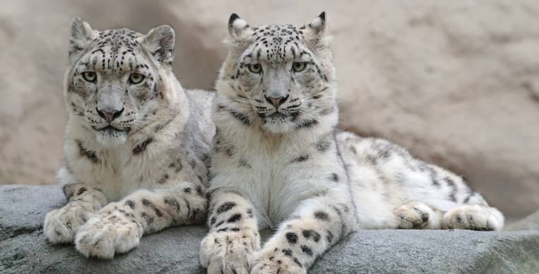 Hemis National Park