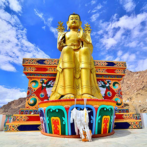 Nubra Valley & Pangong Lake Tour