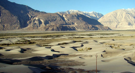 Nubra Valley in Ladakh