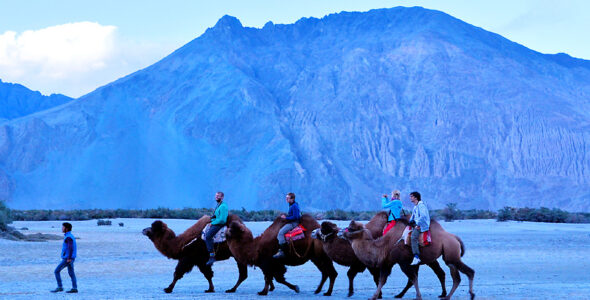 nubra-valley